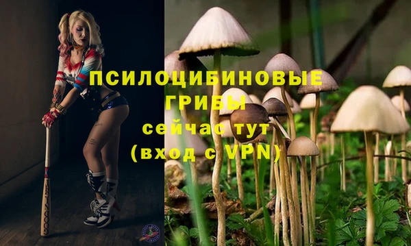 прущая мука Алзамай